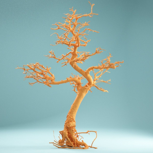 9 RAW SCAN Dead Bonsai Tree High Poly