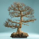 9 RAW SCAN Dead Bonsai Tree High Poly