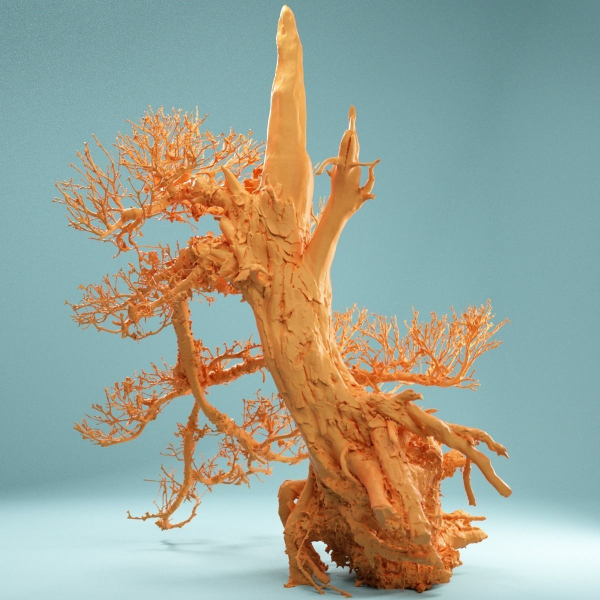 9 RAW SCAN Dead Bonsai Tree High Poly