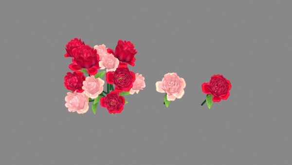 a bunch of roses