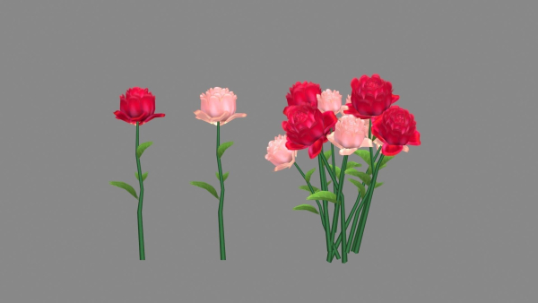 a bunch of roses