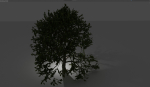 A photorealistic high poly tree