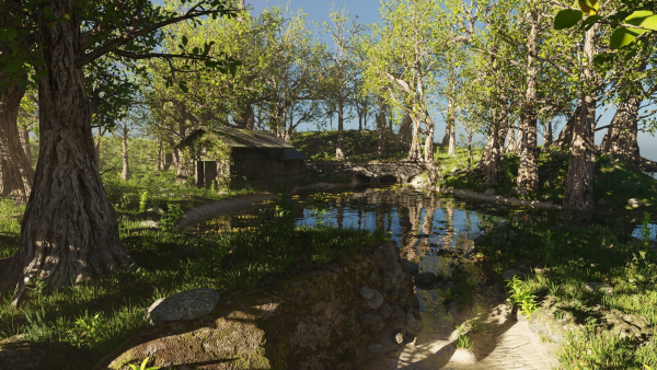 Abandoned Cabin Scene