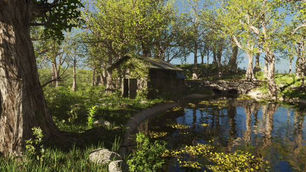 Abandoned Cabin Scene
