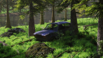 Abandoned Car in Forest Scene