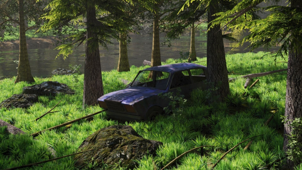Abandoned Car in Forest Scene