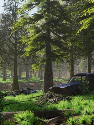 Abandoned Car in Forest Scene