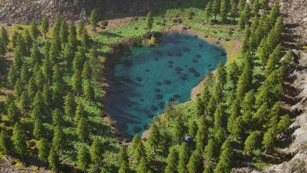 Abandoned Car in Forest Scene
