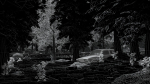 Abandoned Car in Forest Scene