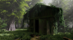 Abandoned Shack in Forest Scene