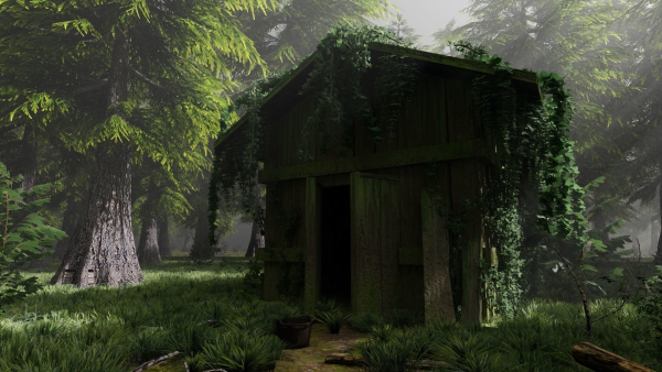 Abandoned Shack in Forest Scene
