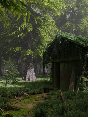 Abandoned Shack in Forest Scene