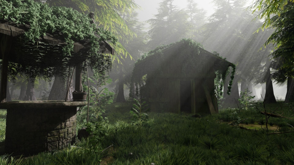 Abandoned Shack in Forest Scene