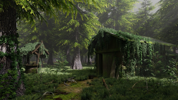 Abandoned Shack in Forest Scene