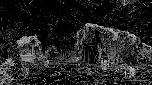 Abandoned Shack in Forest Scene