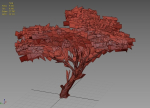 Acacia Tree