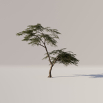 Acacia Tree Set