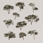 Acacia Tree Set