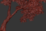 Acacia Tree Set