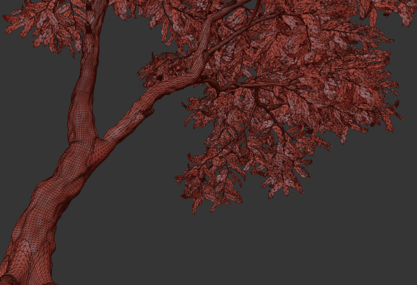 Acacia Tree Set
