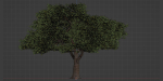 Acacia tree vol 15-Blender