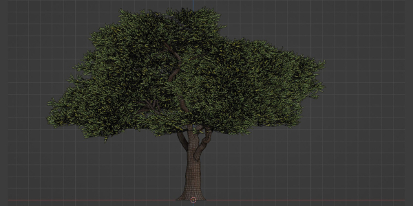 Acacia tree vol 15-Blender