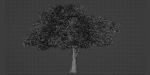 Acacia tree vol 15-Blender