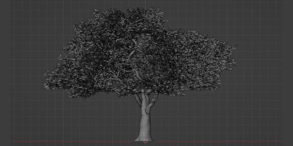 Acacia tree vol 15-Blender