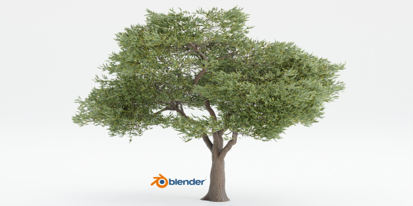 Acacia tree vol 15-Blender