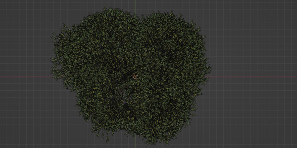 Acacia tree vol 15-Blender