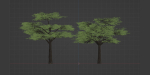 Acacia trees vol 87-Blender