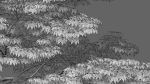 Acer palmatum - Japanese maple 05