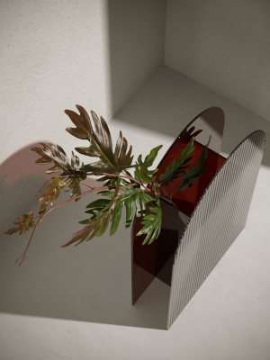acrylic-vase-with-philodendron-3d-model-449969c730