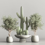 actus  Plant vol 01