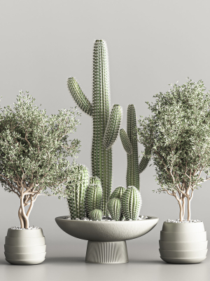 actus-plant-vol-01-3d-model-animated-max-obj-fbx-rib-mat