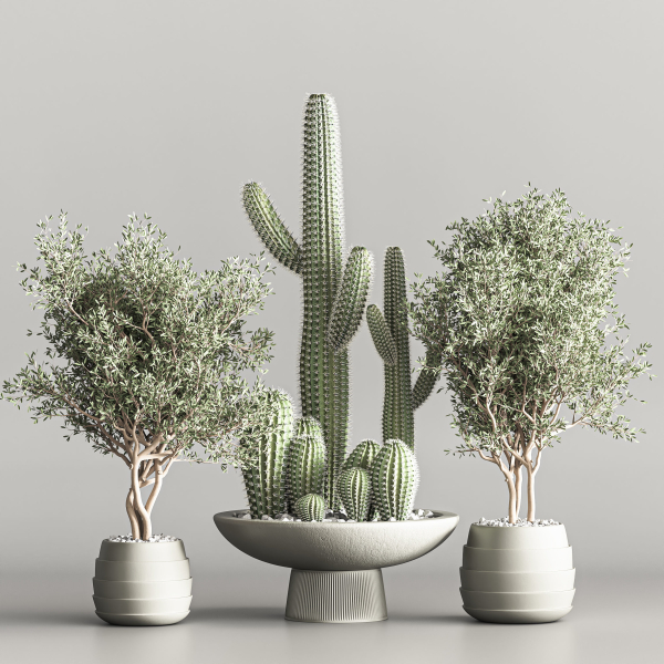 actus  Plant vol 01