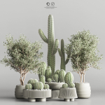actus  Plant vol 01