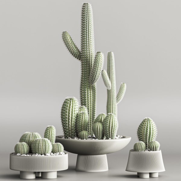 actus  Plant vol 01