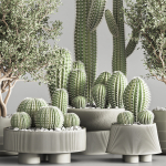 actus  Plant vol 01