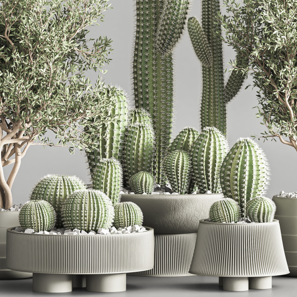actus  Plant vol 01
