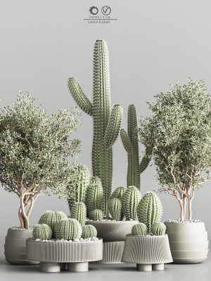 actus  Plant vol 01