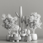 actus  Plant vol 01