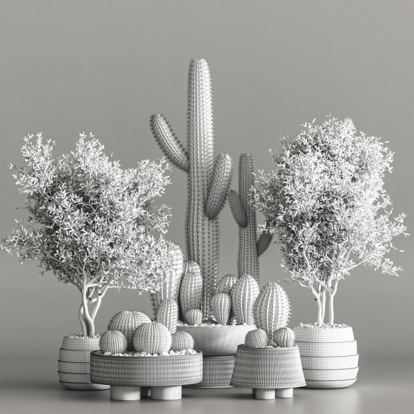 actus  Plant vol 01