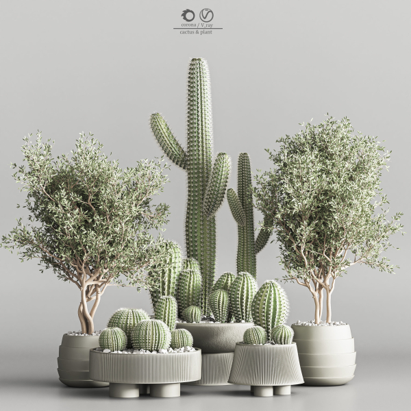 actus  Plant vol 01