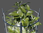 Aeroponics tower V01
