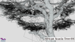 African Acacia Tree-S8