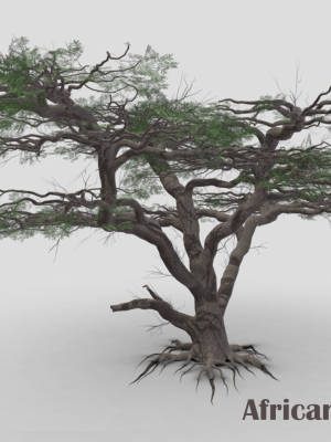 african-acacia-tree-s8-3d-model-c06b1b3145