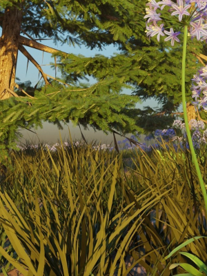 agapanthus-field-3d-model-04f3ccd20f
