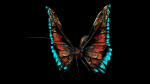 Alien Butterfly Insect