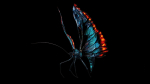 Alien Butterfly Insect